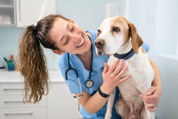 Compassion in every check-up: Our veterinarians are here to care for your furry friends with love and expertise.